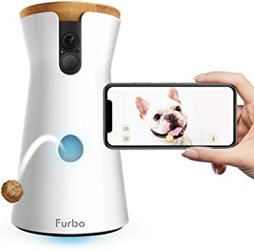 Furbo Dog Camera Review, An In-Depth View At This Treat Dispensing Wonder