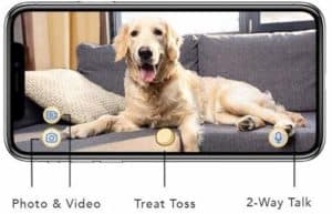 Smart Phone Integration With Furbo Dog Camera