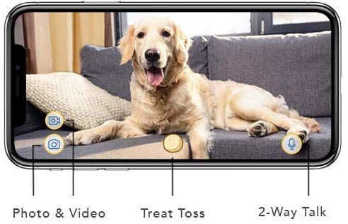 Dog Camera That Dispenses Treats