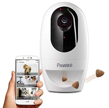 Pet camera review, Pawbo - Best, 2020