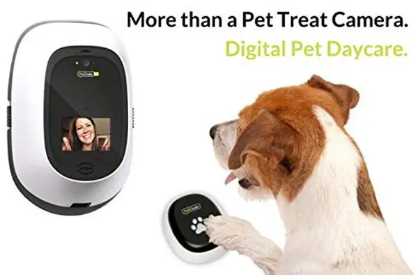 PetChatz Dog Video Camera Review