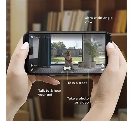 Petcube Dog Camera Features