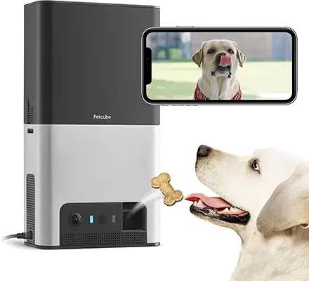 Petcube Interactive WiFi Pet Camera Review