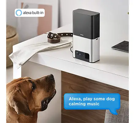 Petcube Pet Camera Alexa Compatibilty