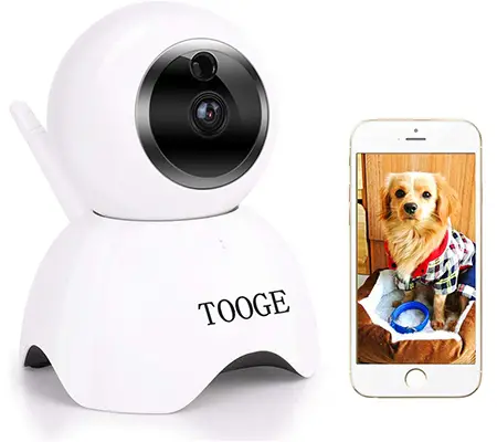 TOOGE Pet Camera Review