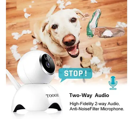 The TOOGE Pet Camera