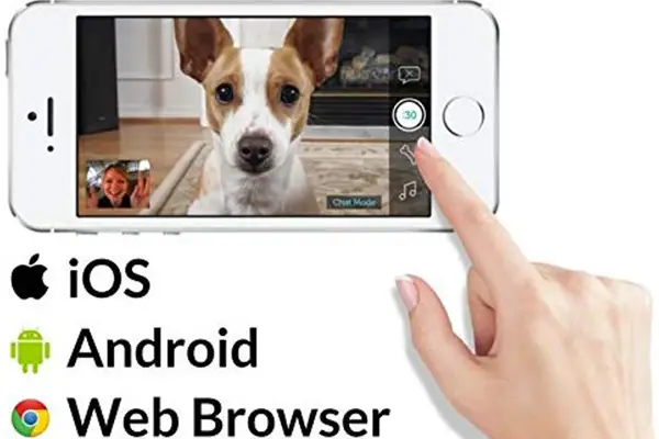 mobile app compatibility for PetChatz and PawCall dog video camera