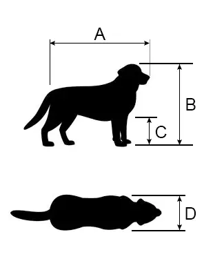How To Measure Dog For Travel Crate