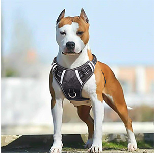 BABYLTRL No Pull Adjustable Pet Harness Review