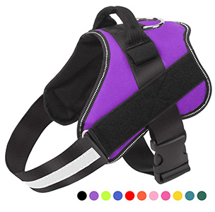 Bolux Dog Harness