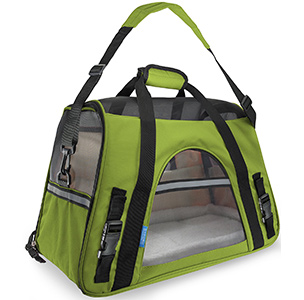 Paws and Pals Pet Carrier