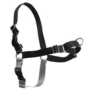 PetSafe Easy Walk® Dog Harness Review