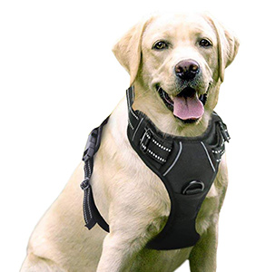 Rabbitgoo Dog Harness