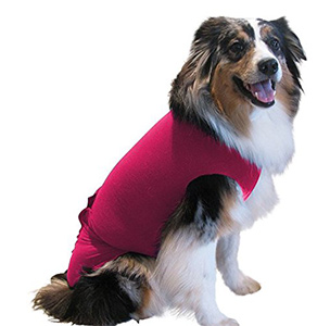 dog babygrow after operation