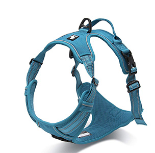 TRUE LOVE Adjustable No-Pull Dog Harness