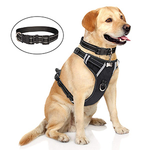 dog harness to help with pulling