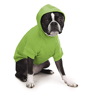 Zack & Zoey Basic Hoodie for Dogs