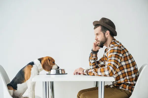 dog owner and dog talking on dog camera