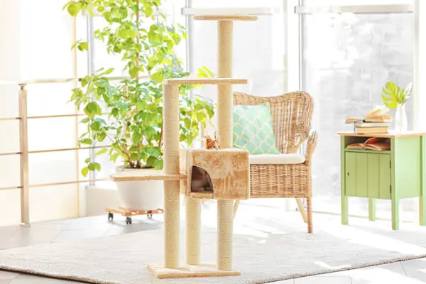 image of a cat condo