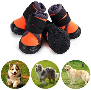 Petilleur Dog Shoes