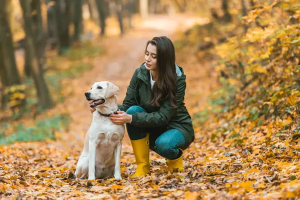 image of a woman walking a dog with a collar