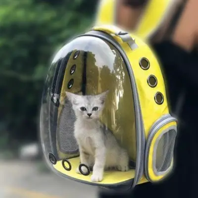 Are Cat Backpacks Safe?