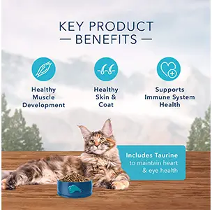 Blue Buffalo Wilderness High Protein Cat Food Benefits