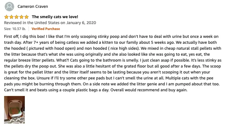 Cameron - Purina Tidy Cats Litter Box Review