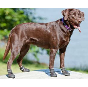 Canine Equipment Ultimate Trail Dog Booties