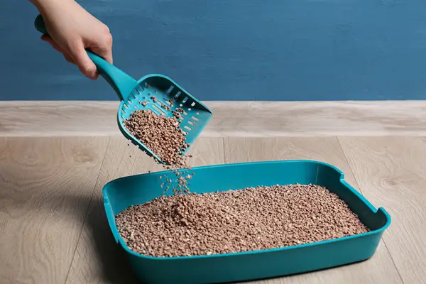 Changing Cat Litter