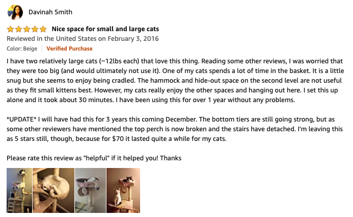 Go Pet Club Cat Tree Review From Davinah