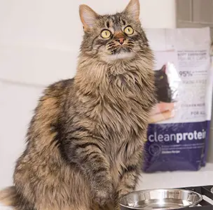 Dr. Elsey's Cleanprotein Formula Cat Food