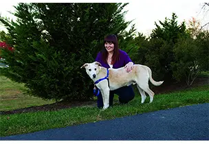 Easy Walk No Pull Dog Harness