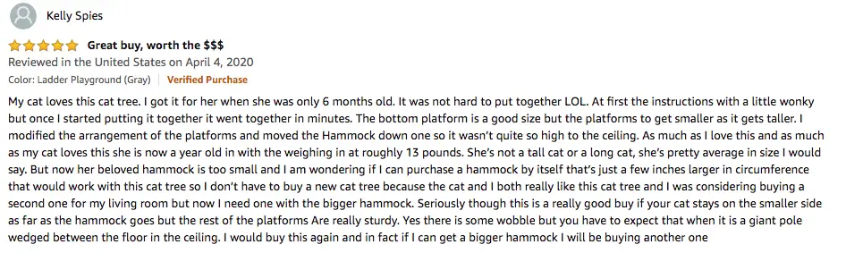 Kelly Spies - Furhaven Pet Cat Tree Review