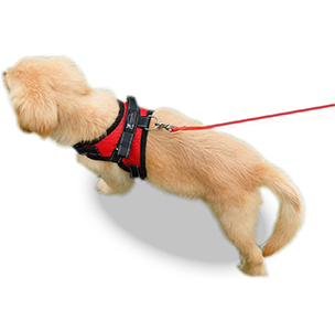 No pull pet harness by Copatchy_