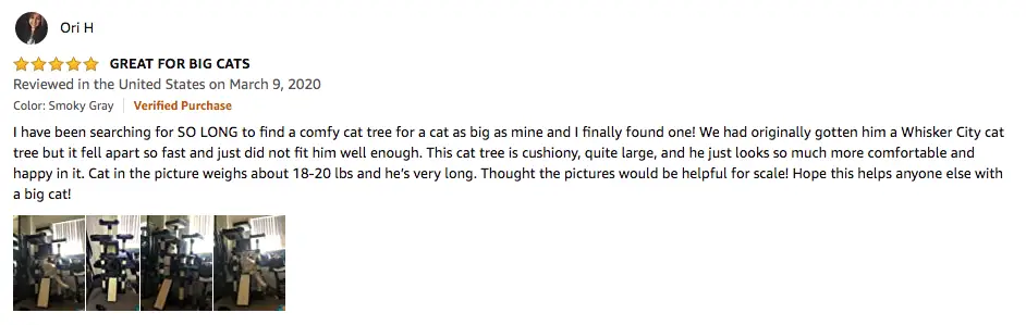 Ori H - FEANDREA Multi-Level Cat Tree Review