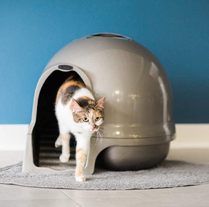 Petmate Booda Dome Clean Step Litter Box