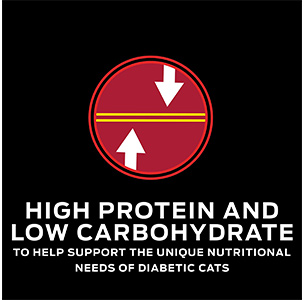 dm dietetic management