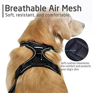 Rabbitgoo Dog Harness No-Pull Pet Harness Features