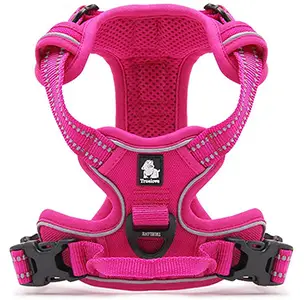 Truelove Adjustable Dog Harness