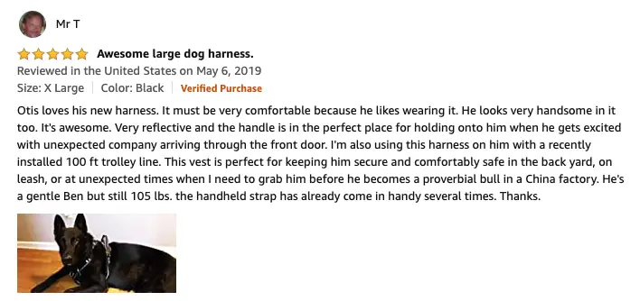 Winsee dog harness review