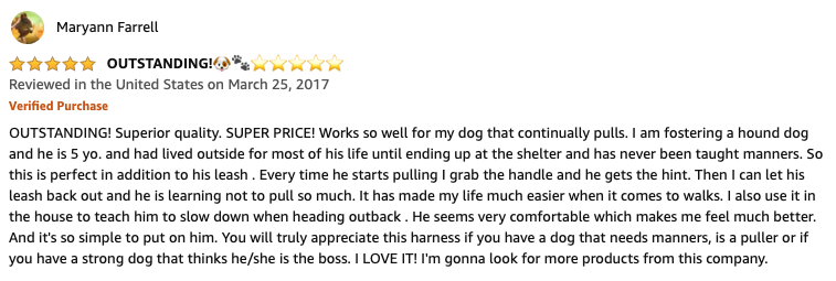 Winsee dog harness review