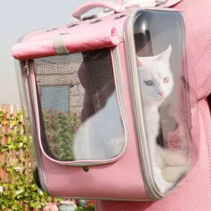 cat in a cat carrier backpack