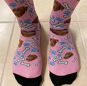 custom dog socks