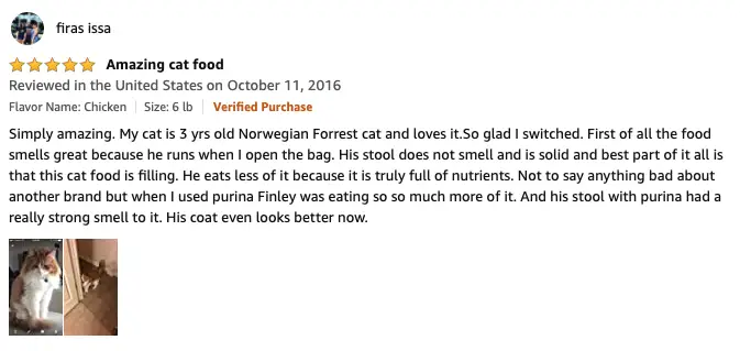 firas issa - Blue Buffalo Wilderness High Protein Cat Food Review