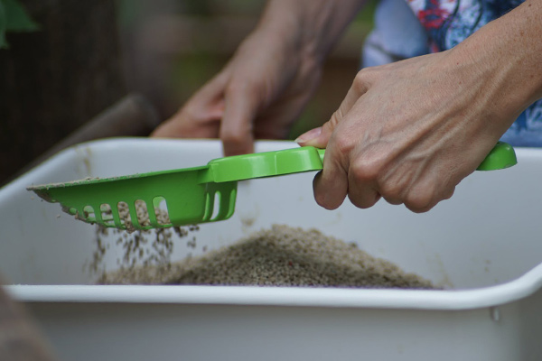 how to clean a litter box