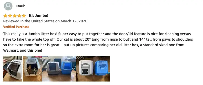 iRaub - Catit litter box review