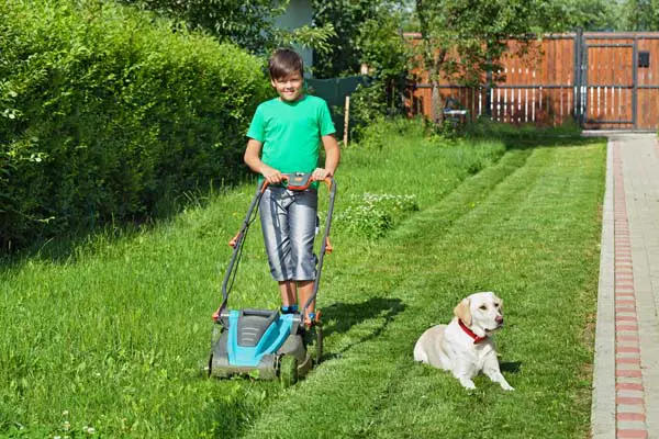 mowing lawn and picking up dog poop with poop scooper