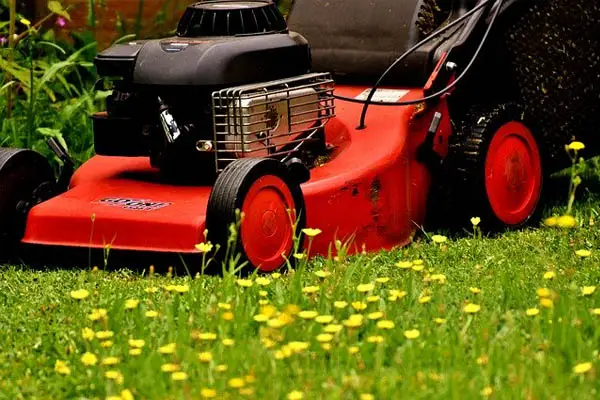 using a pooper scooper before mowing