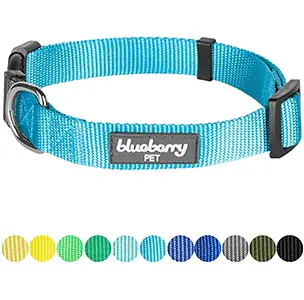 Blueberry Pet Essentials Dog Collar